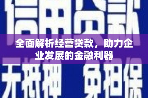 澄迈全面解析经营贷款，助力企业发展的金融利器
