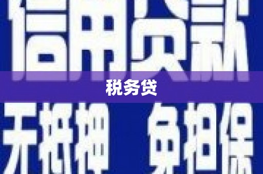 澄迈税务贷