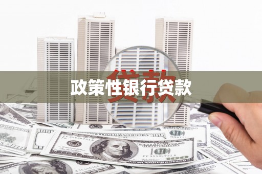 澄迈政策性银行贷款