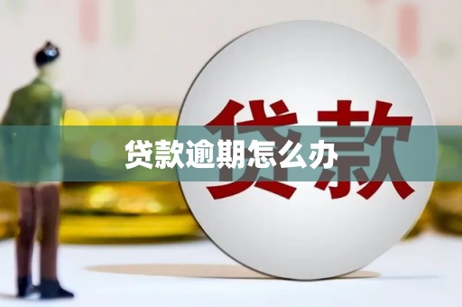 澄迈贷款逾期怎么办
