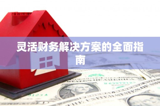 澄迈灵活财务解决方案的全面指南