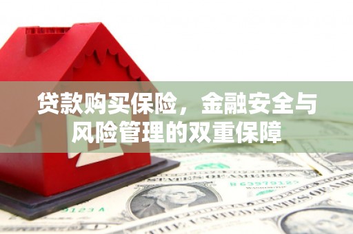 澄迈贷款购买保险，金融安全与风险管理的双重保障