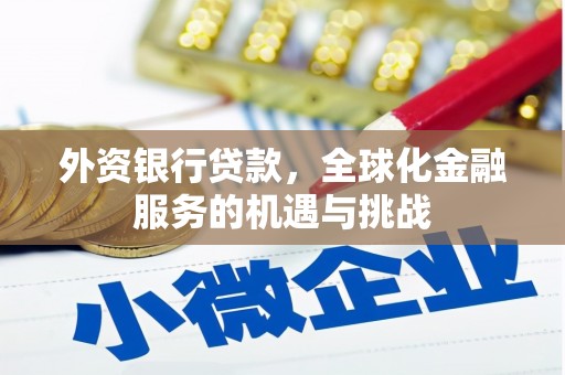 澄迈外资银行贷款，全球化金融服务的机遇与挑战