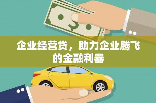 澄迈企业经营贷，助力企业腾飞的金融利器
