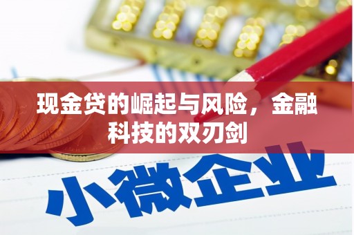 澄迈现金贷的崛起与风险，金融科技的双刃剑