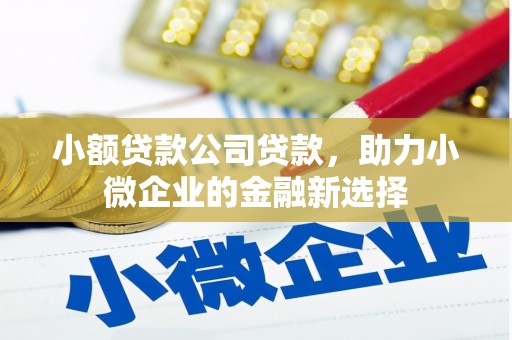 澄迈小额贷款公司贷款，助力小微企业的金融新选择
