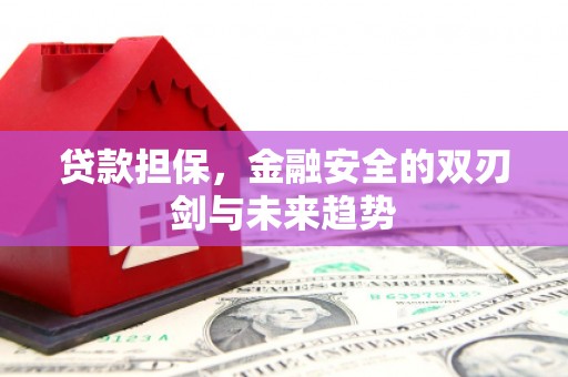 澄迈贷款担保，金融安全的双刃剑与未来趋势
