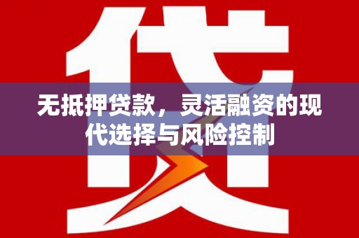 澄迈无抵押贷款，灵活融资的现代选择与风险控制