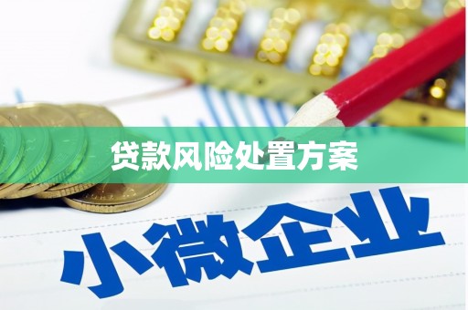 澄迈贷款风险处置方案