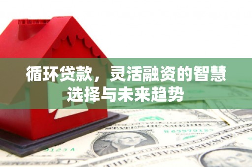 澄迈循环贷款，灵活融资的智慧选择与未来趋势