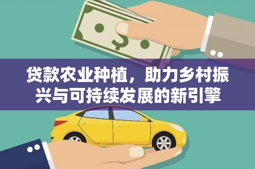 澄迈贷款农业种植，助力乡村振兴与可持续发展的新引擎