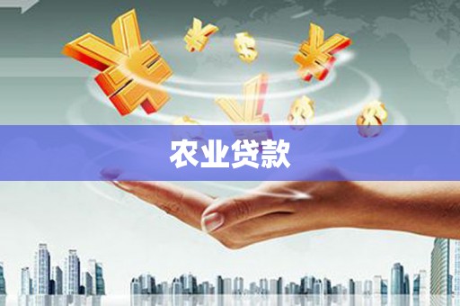 澄迈农业贷款