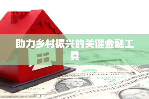 澄迈助力乡村振兴的关键金融工具