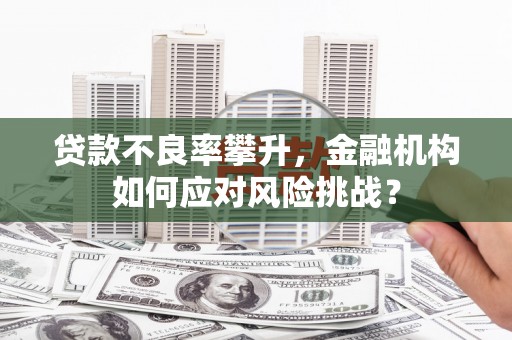 澄迈贷款不良率攀升，金融机构如何应对风险挑战？