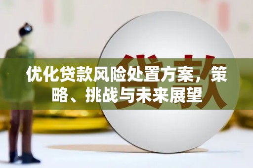 澄迈优化贷款风险处置方案，策略、挑战与未来展望