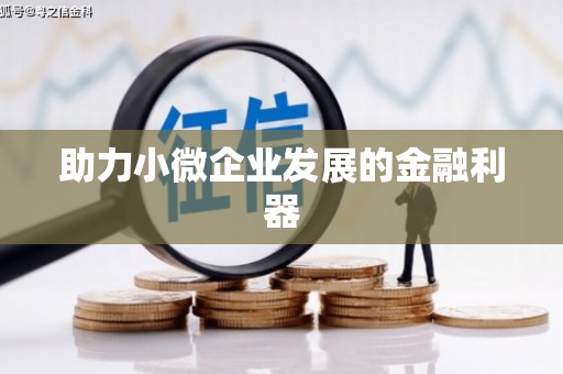 澄迈助力小微企业发展的金融利器