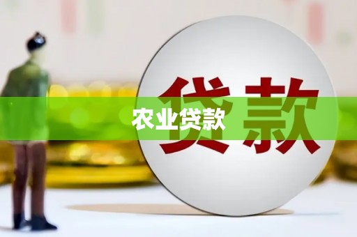 澄迈农业贷款
