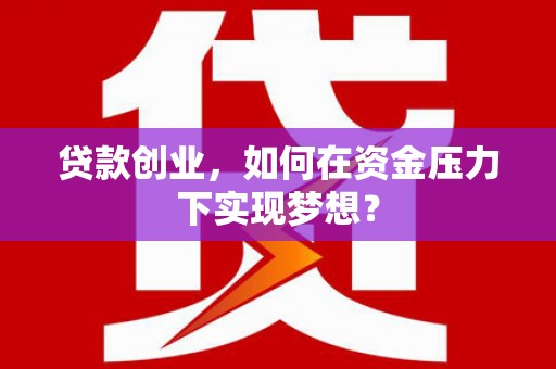 澄迈贷款创业，如何在资金压力下实现梦想？