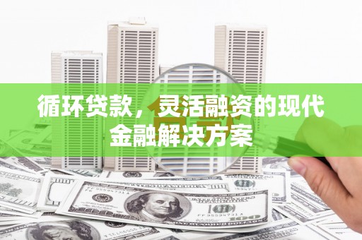 澄迈循环贷款，灵活融资的现代金融解决方案