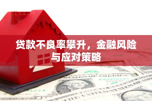 澄迈贷款不良率攀升，金融风险与应对策略