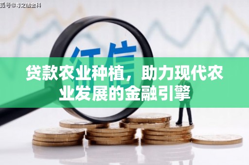 澄迈贷款农业种植，助力现代农业发展的金融引擎