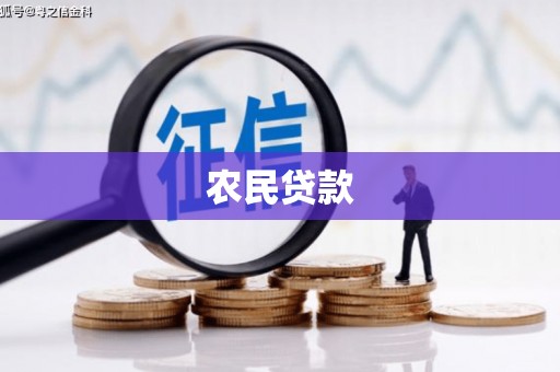 澄迈农民贷款