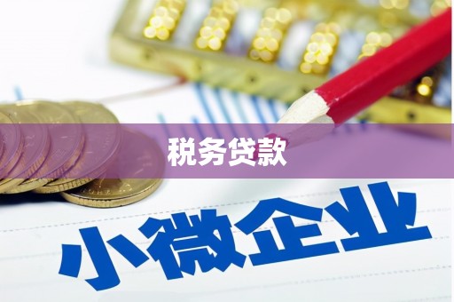 澄迈税务贷款