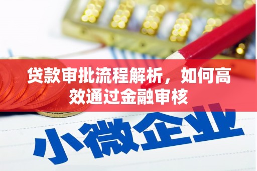 澄迈贷款审批流程解析，如何高效通过金融审核