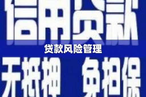 澄迈贷款风险管理
