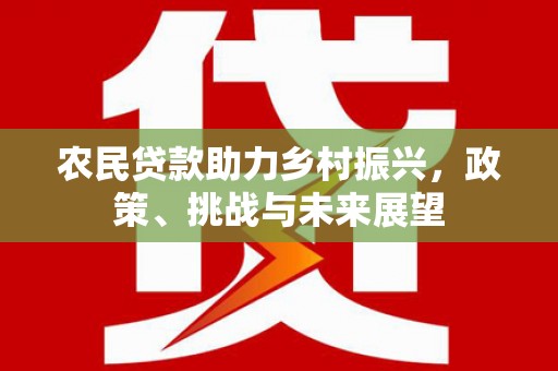 澄迈农民贷款助力乡村振兴，政策、挑战与未来展望