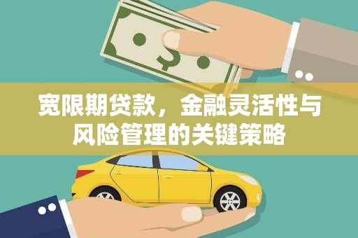 澄迈宽限期贷款，金融灵活性与风险管理的关键策略