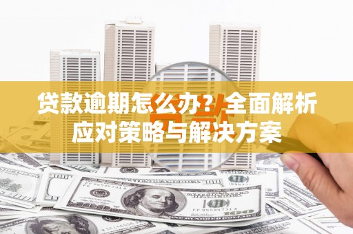 澄迈贷款逾期怎么办？全面解析应对策略与解决方案