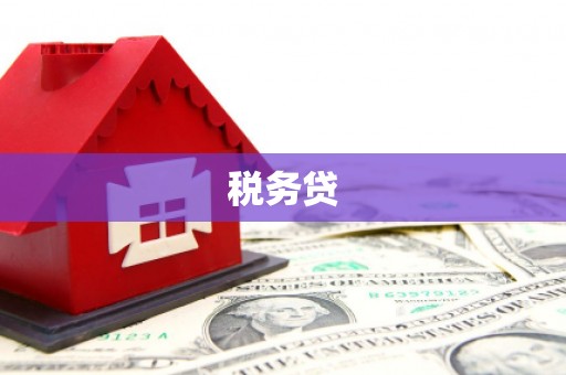 澄迈税务贷