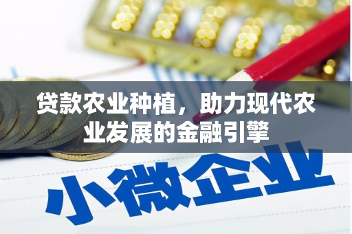 澄迈贷款农业种植，助力现代农业发展的金融引擎