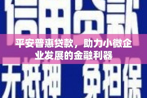澄迈平安普惠贷款，助力小微企业发展的金融利器