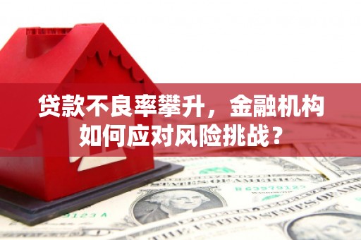 澄迈贷款不良率攀升，金融机构如何应对风险挑战？