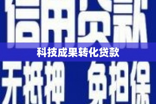 澄迈科技成果转化贷款