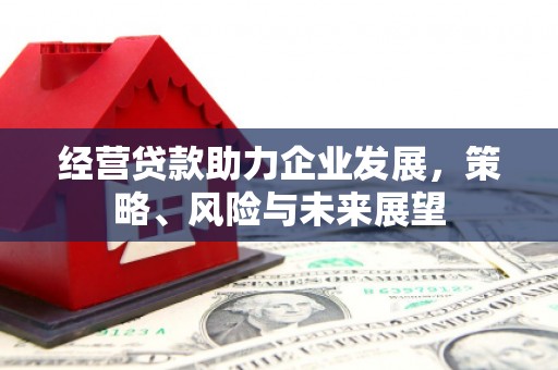 澄迈经营贷款助力企业发展，策略、风险与未来展望