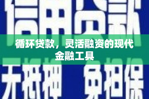 澄迈循环贷款，灵活融资的现代金融工具