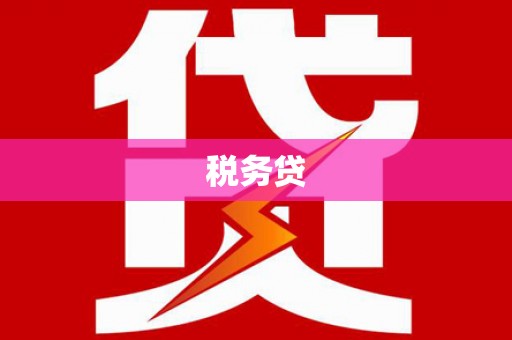 澄迈税务贷