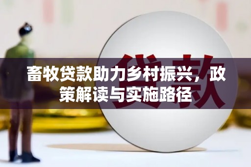 澄迈畜牧贷款助力乡村振兴，政策解读与实施路径