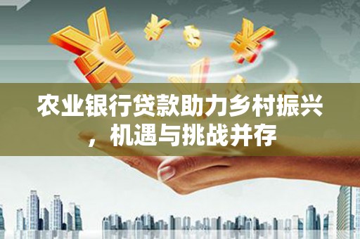 澄迈农业银行贷款助力乡村振兴，机遇与挑战并存