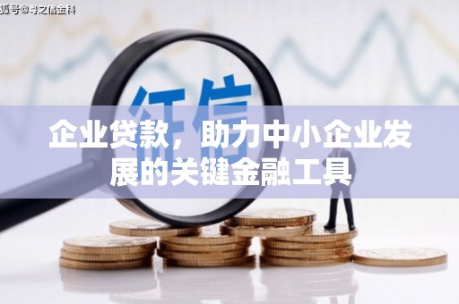 澄迈企业贷款，助力中小企业发展的关键金融工具