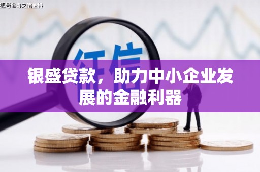 澄迈银盛贷款，助力中小企业发展的金融利器