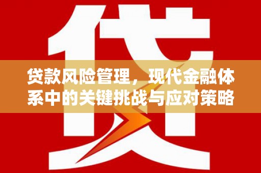 澄迈贷款风险管理，现代金融体系中的关键挑战与应对策略