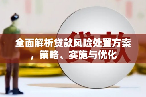 澄迈全面解析贷款风险处置方案，策略、实施与优化