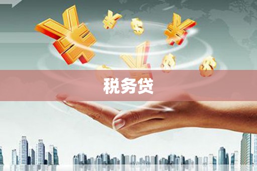 澄迈税务贷