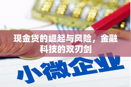 澄迈现金贷的崛起与风险，金融科技的双刃剑