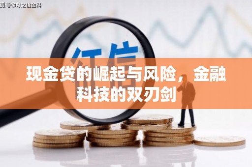 澄迈现金贷的崛起与风险，金融科技的双刃剑