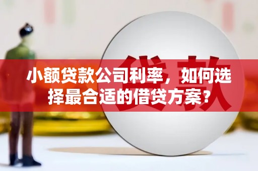 澄迈小额贷款公司利率，如何选择最合适的借贷方案？